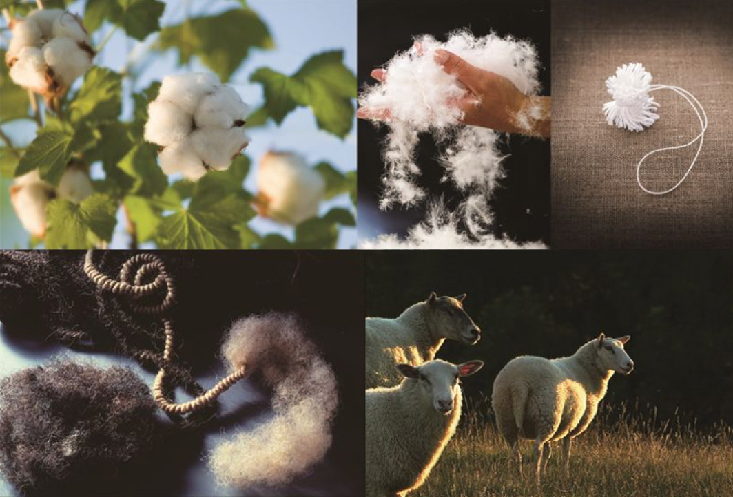 ed5ea213f5fb40df6daff19d0d9ecb77.jpg 1.jpg